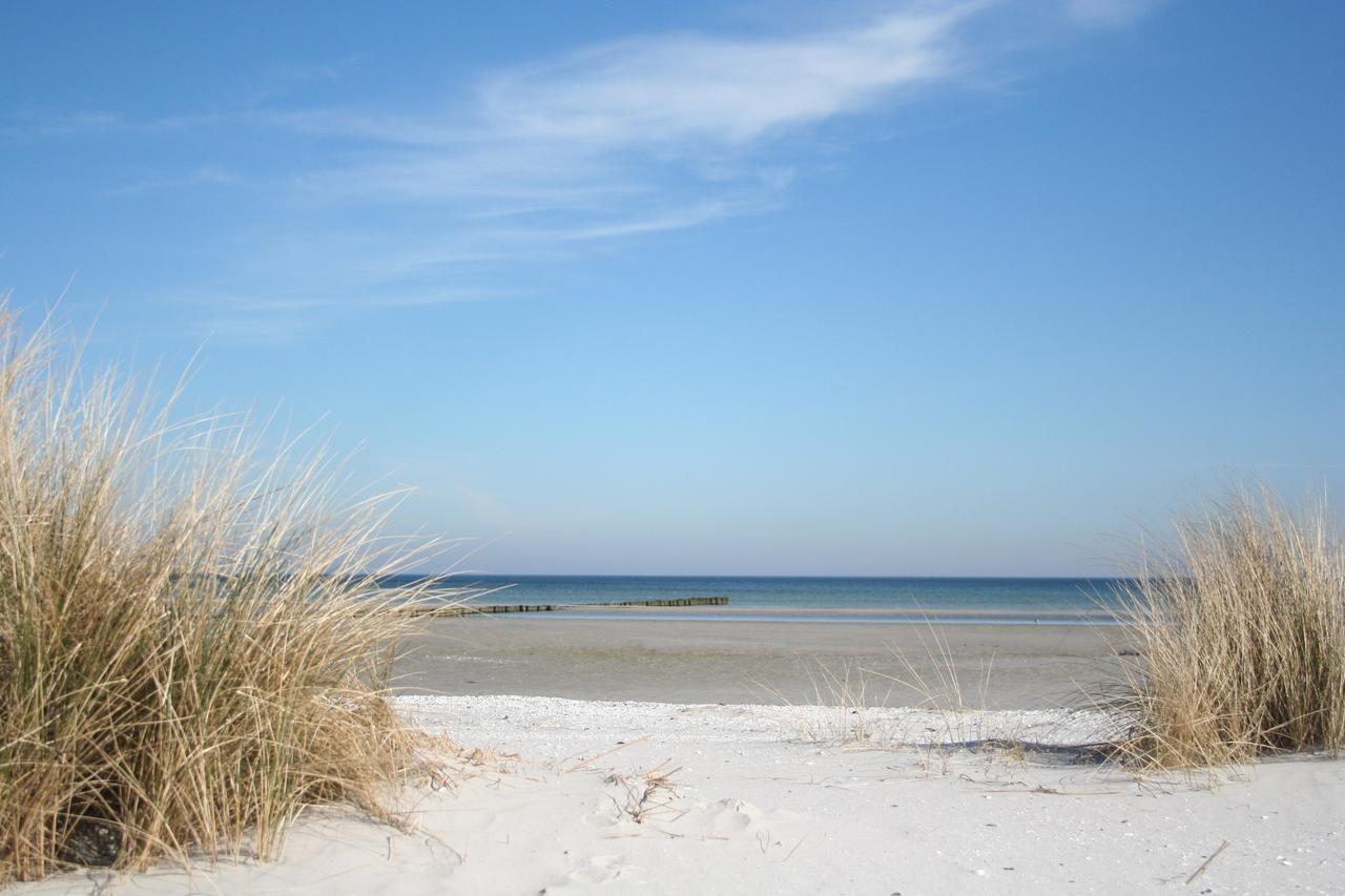 Villa Strandblick 12 Zingst Exterior foto